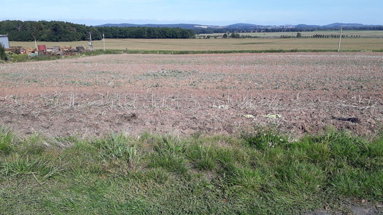 Działka budowlana Celów. Zdjęcie 2