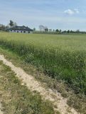 Działka budowlana Kłobukowice. Zdjęcie 2