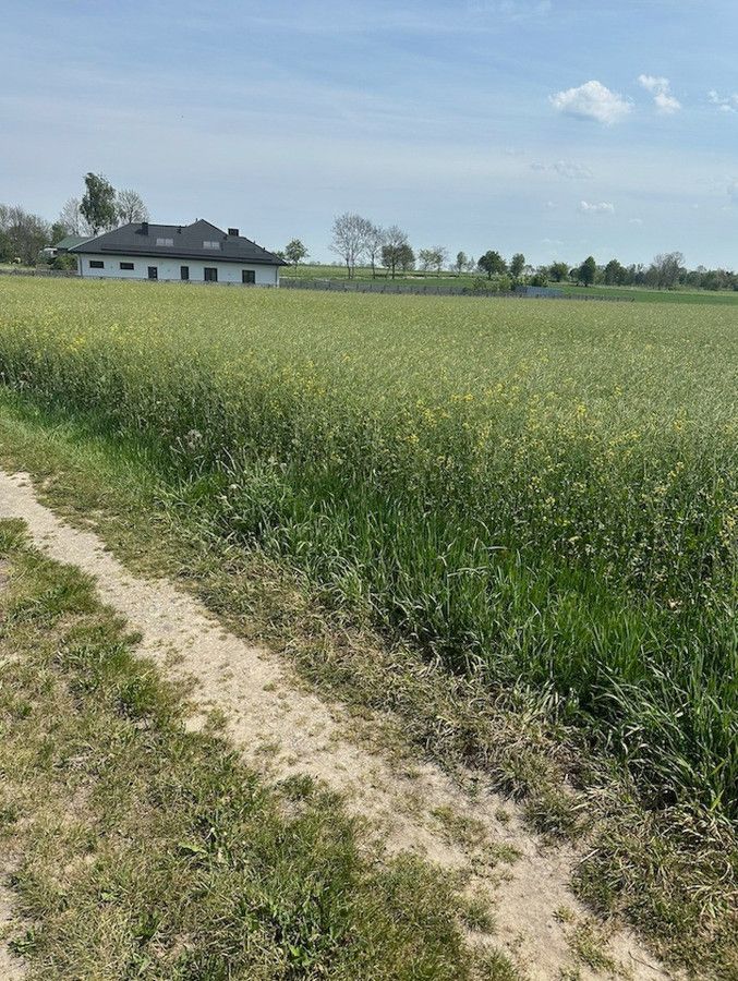 Działka budowlana Kłobukowice. Zdjęcie 3