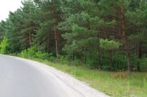 Działka budowlana Sokołowo. Zdjęcie 3