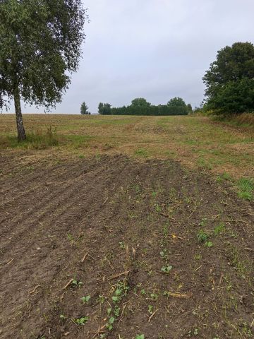 Działka rolno-budowlana Policko. Zdjęcie 4
