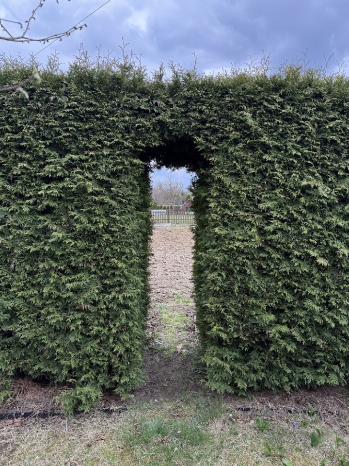 Działka rod Przysucha. Zdjęcie 3