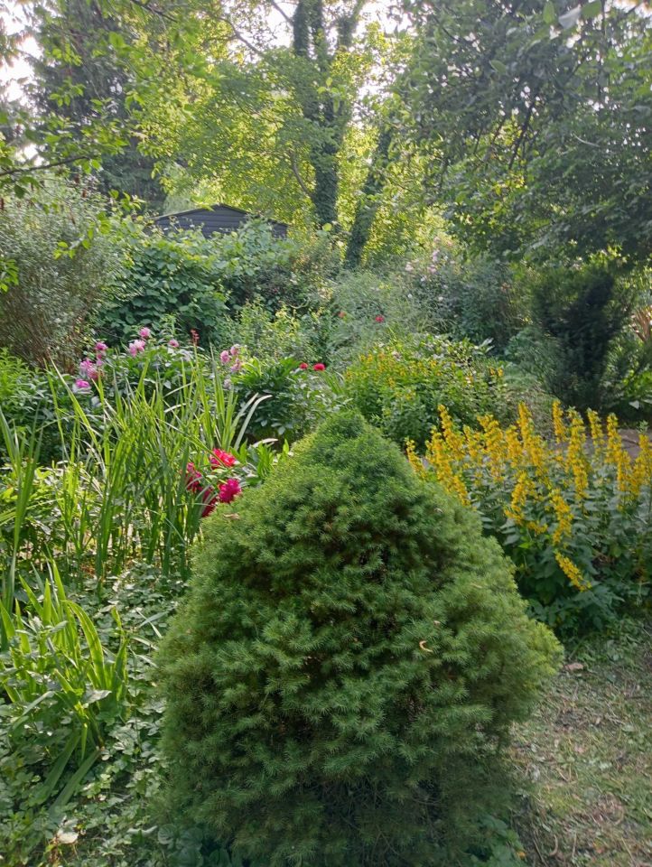 Działka rod Warszawa Praga-Południe, ul. Kinowa. Zdjęcie 8