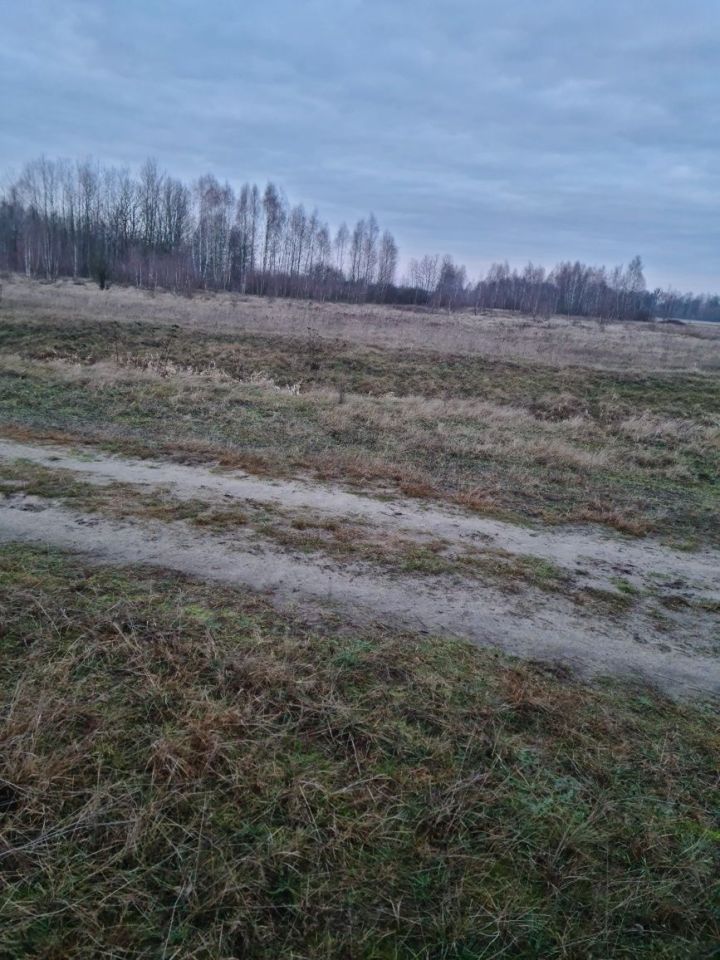 Działka siedliskowa Małocice. Zdjęcie 3