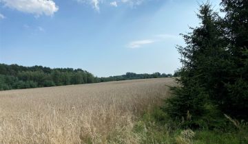 Działka rolno-budowlana Stary Adamów