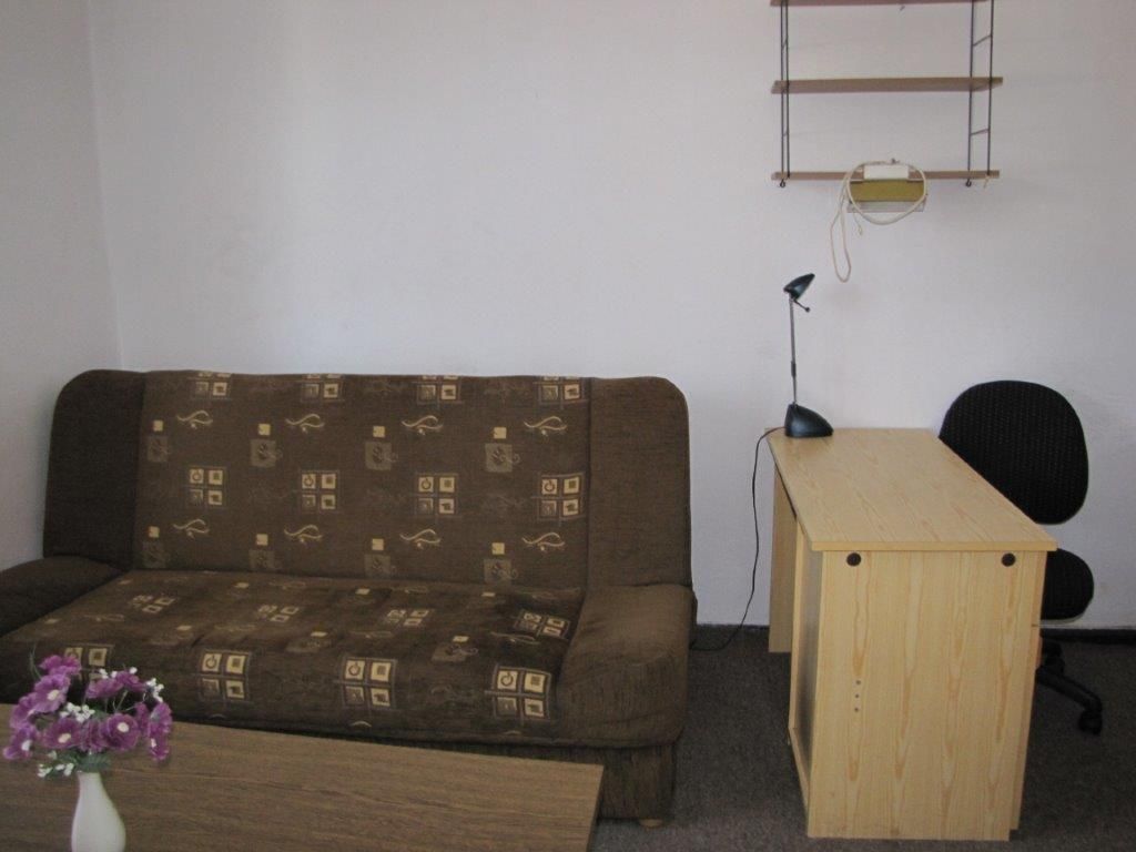 Mieszkanie 1-pokojowe Katowice Panewniki, ul. Koreańska. Zdjęcie 3