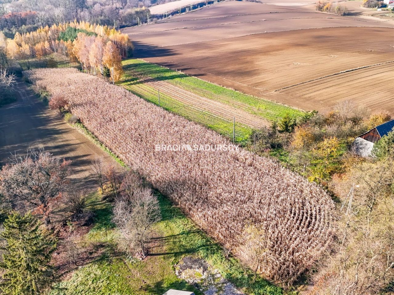 Działka budowlana Przesławice. Zdjęcie 7
