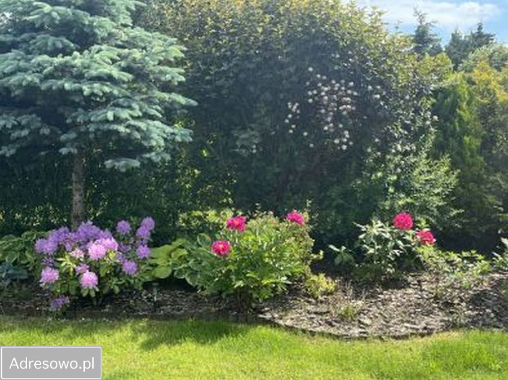 Działka rod Poznań Grunwald, ul. Bukowska. Zdjęcie 4