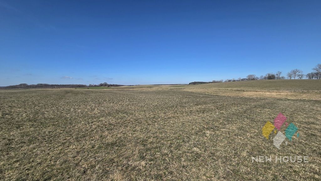 Działka rolna Woźnice. Zdjęcie 8