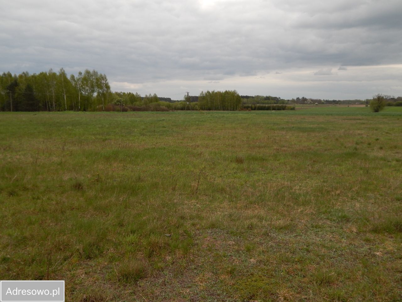 Działka Guty. Zdjęcie 8