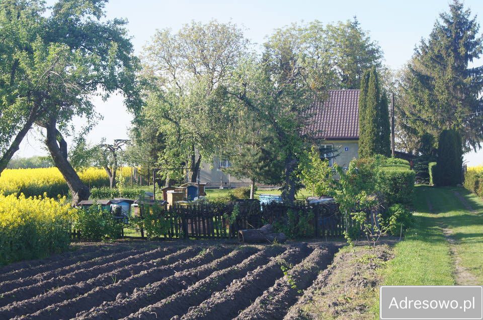 siedlisko Dołhobyczów. Zdjęcie 5