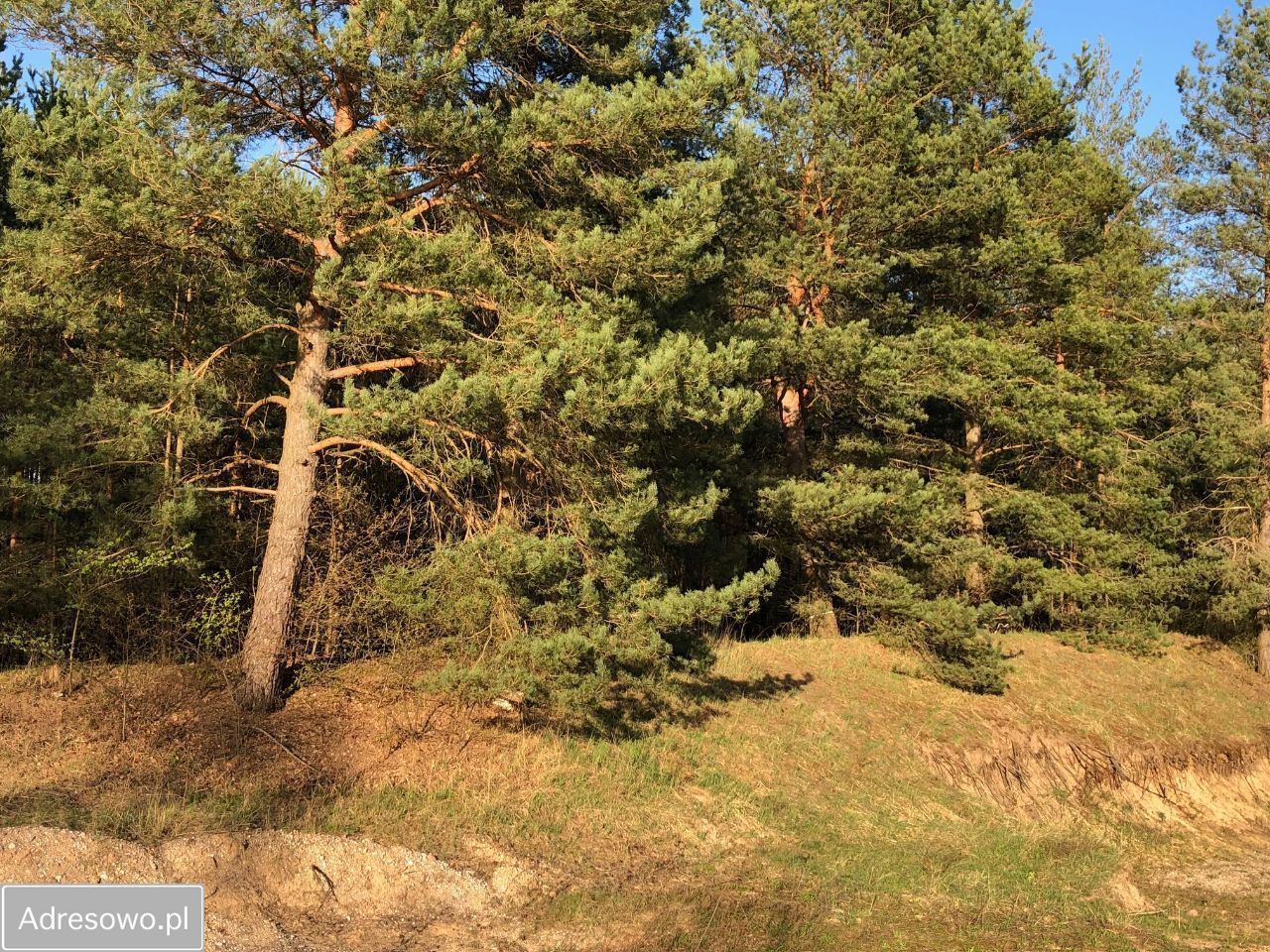 Działka budowlana Augustów Sajenek, ul. Jutrzenki