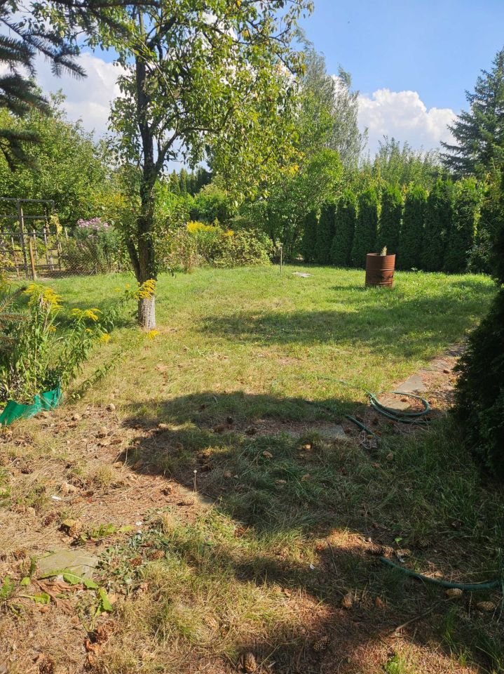 Działka rod Rogówko. Zdjęcie 4