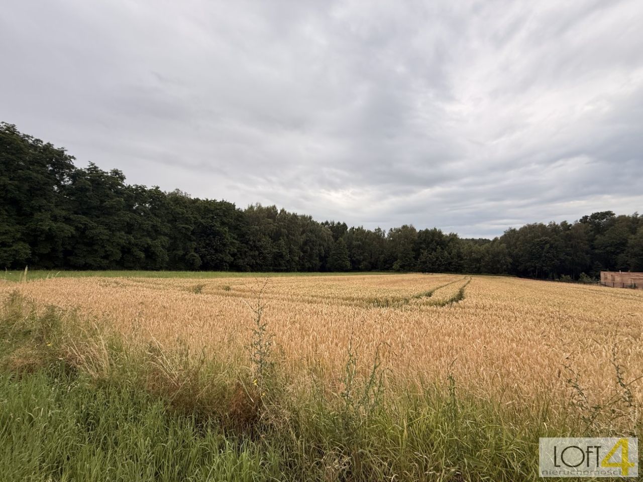 Działka rolno-budowlana Wojnicz. Zdjęcie 12
