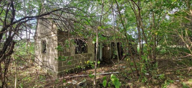 Działka rolno-budowlana Gostery. Zdjęcie 5