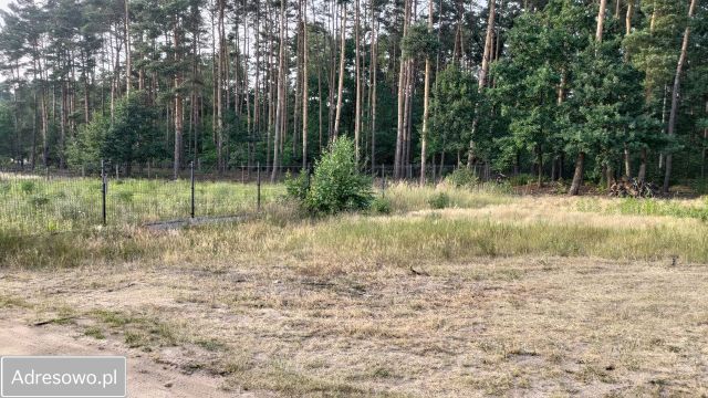 Działka budowlana Warszawa Wawer, ul. Wiązowska. Zdjęcie 3