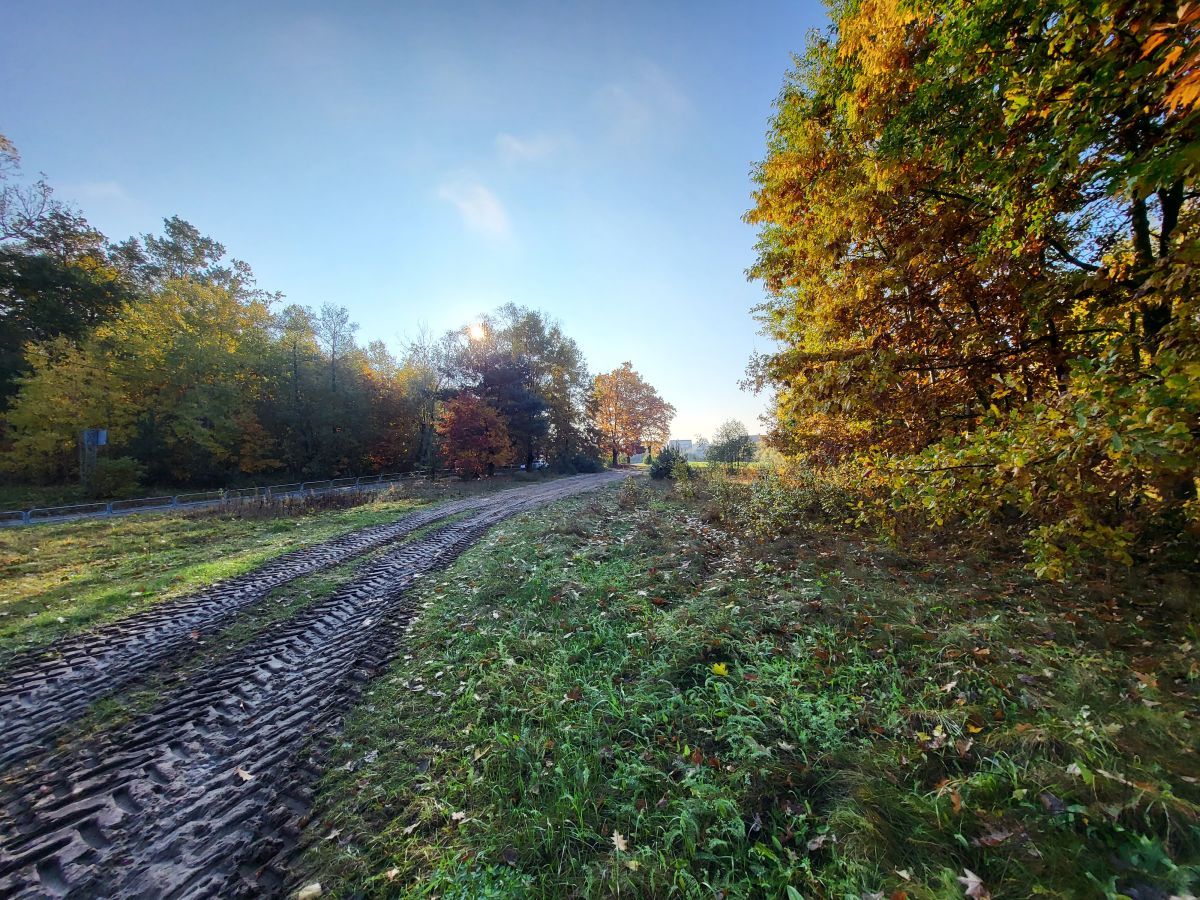 Działka budowlana Regut. Zdjęcie 5