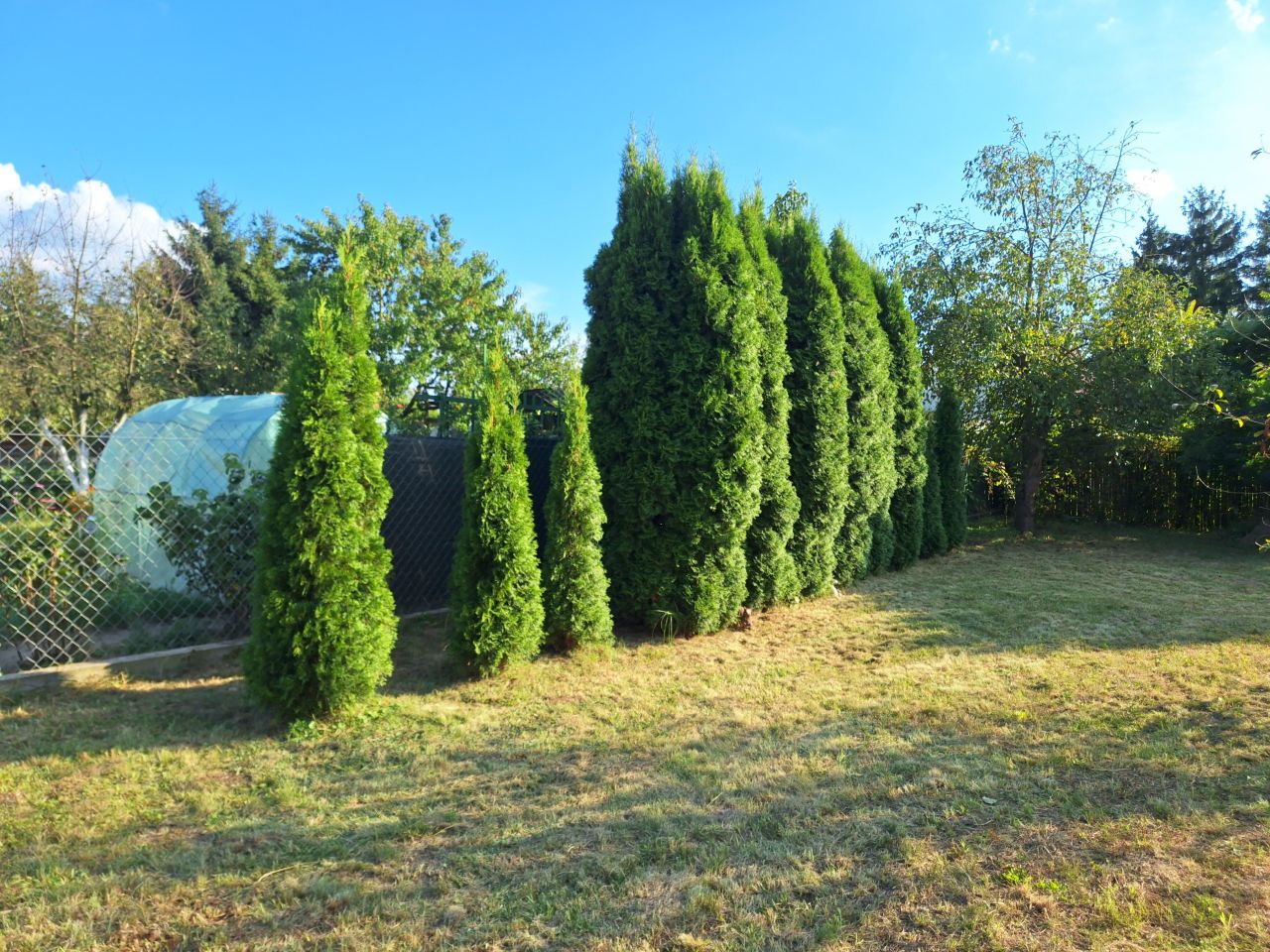 Działka rod Płock Radziwie, ul. Dobrzykowska. Zdjęcie 15