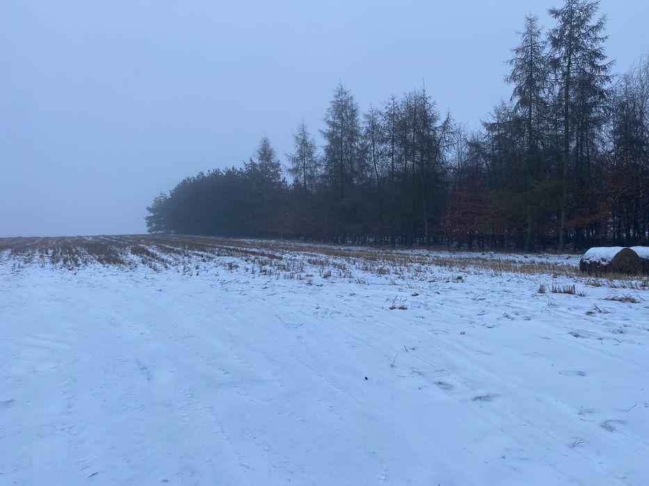 Działka budowlana Mięcierzyn. Zdjęcie 3