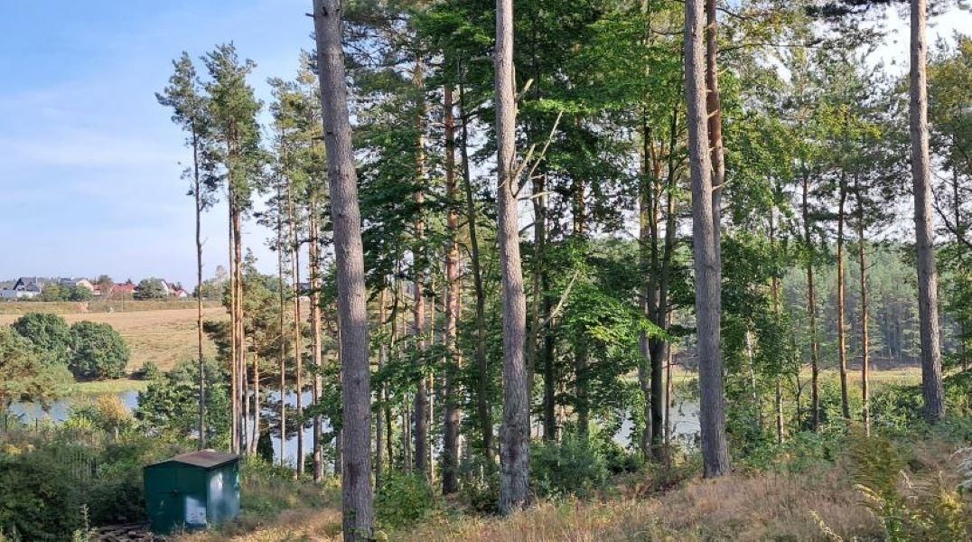 dom wolnostojący, 5 pokoi Chwaszczyno, ul. Cicha. Zdjęcie 8