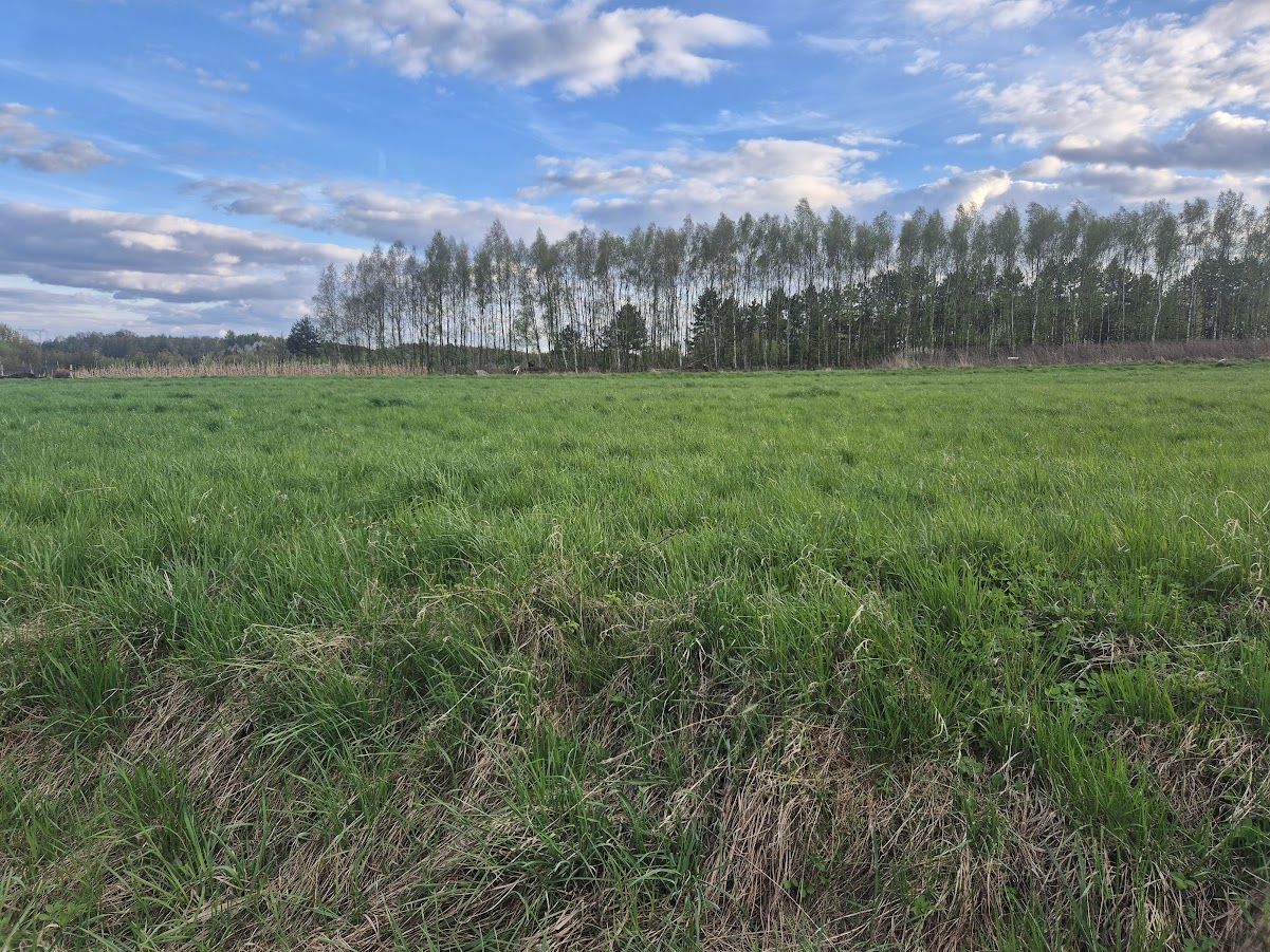 Działka budowlana Jaskrów, ul. Jurajska. Zdjęcie 10