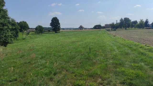 Działka budowlana Witków. Zdjęcie 1
