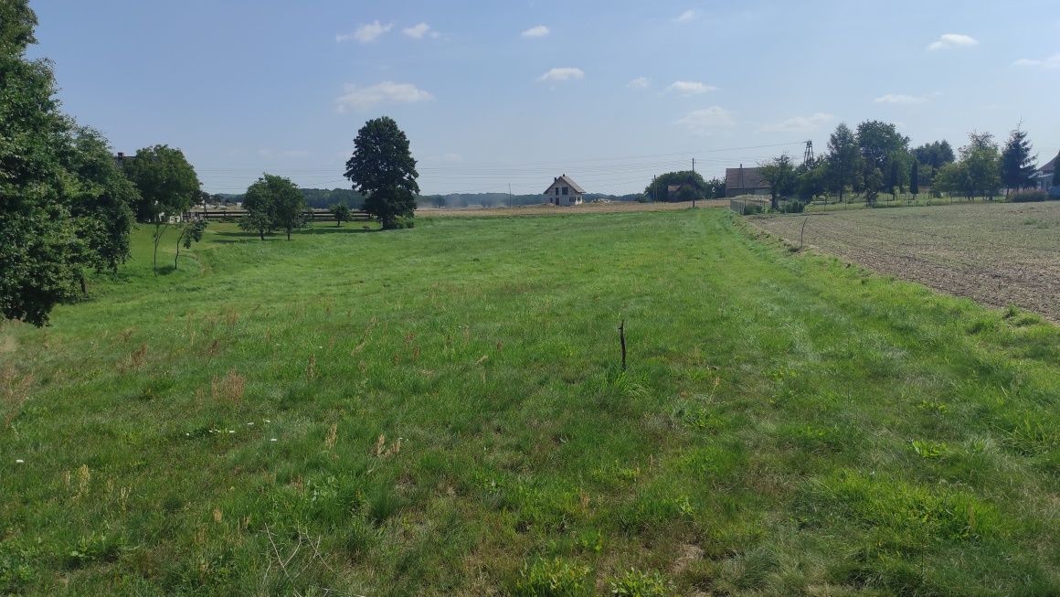 Grund, 1350 m²