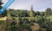 Działka inwestycyjna Marków-Świnice. Zdjęcie 3