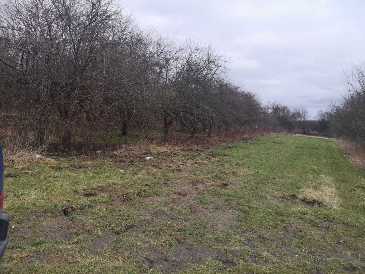 Działka rolno-budowlana Nadbrzeż. Zdjęcie 7