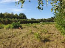 Działka budowlana Klembów. Zdjęcie 3