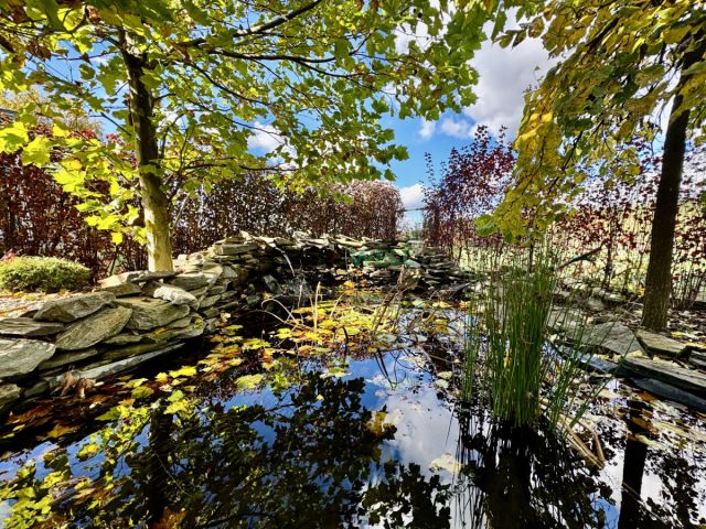 dom wolnostojący, 5 pokoi Łódź Nowosolna, ul. Sosnowe Wzgórze. Zdjęcie 19