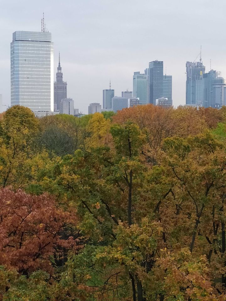 Mieszkanie 2-pokojowe Warszawa Śródmieście. Zdjęcie 2