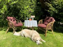 dom wolnostojący, 6 pokoi Przemyśl, ul. Marcina Bielskiego. Zdjęcie 1