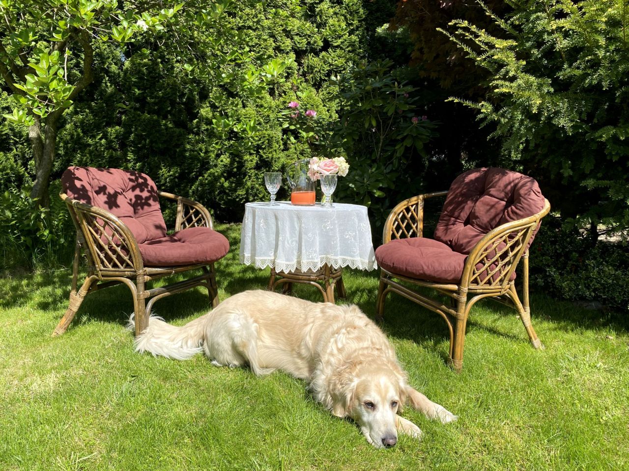 dom wolnostojący, 6 pokoi Przemyśl, ul. Marcina Bielskiego. Zdjęcie 2