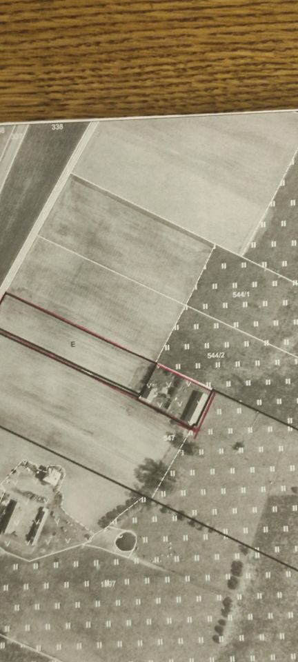 gospodarstwo, 3 pokoje Białaszewo-Kolonia. Zdjęcie 4