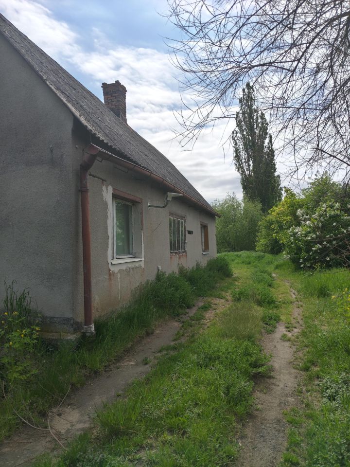 Działka budowlana Nowe, ul. Podgórna. Zdjęcie 4
