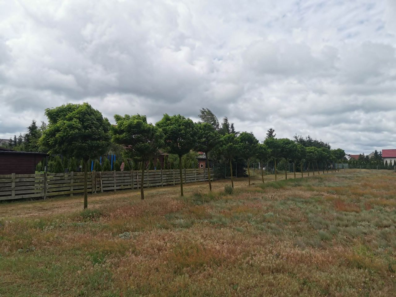 Działka budowlana Wielany, Kramsk-Łęgi. Zdjęcie 8