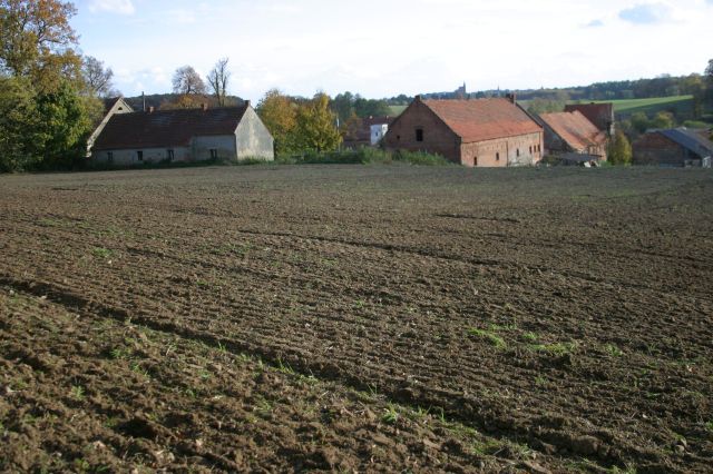Działka siedliskowa Rogów Wołowski. Zdjęcie 9