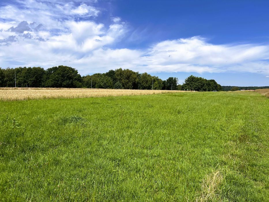 Działka rolno-budowlana Marklowice, ul. Jana Kilińskiego. Zdjęcie 5