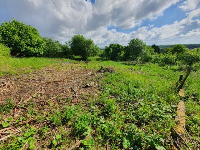 Działka rekreacyjna Szczecin Bukowo. Zdjęcie 1