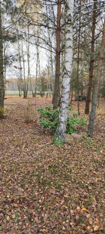 Działka rolna Osada-Wola. Zdjęcie 2