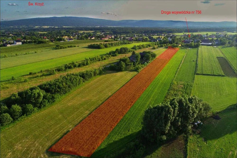 Działka rolno-budowlana Sosnówka. Zdjęcie 3