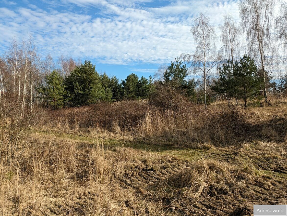 Działka budowlana Okmiany. Zdjęcie 10