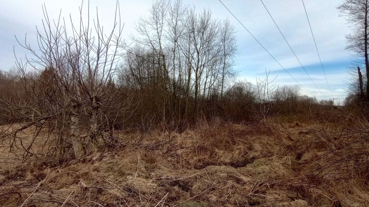 Działka rolna Gaj, ul. Zadziele. Zdjęcie 5