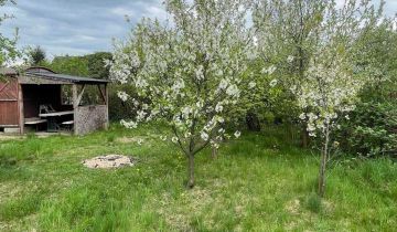 Działka rod Ciechanów