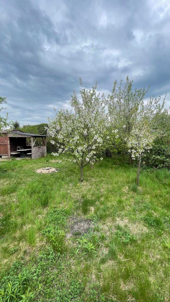 Działka rod Ciechanów. Zdjęcie 2