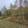 Działka budowlana Basinów, ul. Stołeczna. Zdjęcie 5