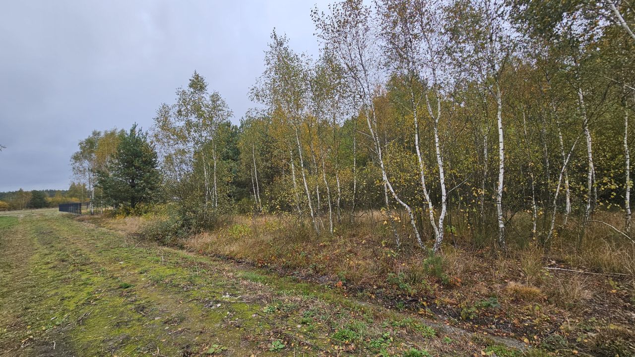 Działka budowlana Basinów, ul. Stołeczna. Zdjęcie 5