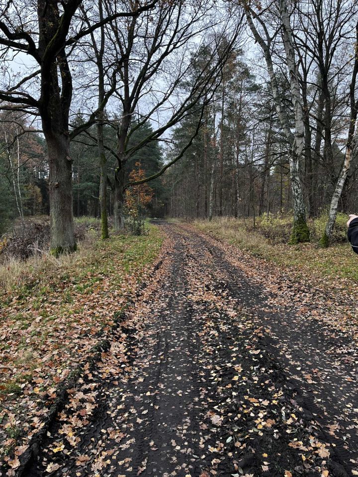 Działka rolno-budowlana Dąbrowiec. Zdjęcie 6
