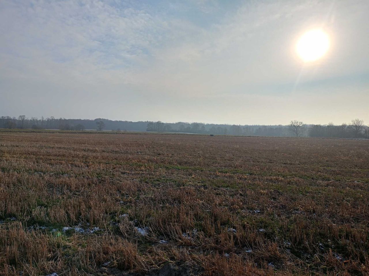 Działka budowlana Dobiesławiec. Zdjęcie 8